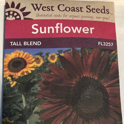 Seed WC Sunflower Tall Blend