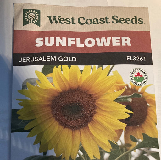 Seed WC Sunflower Jerusalem Gold