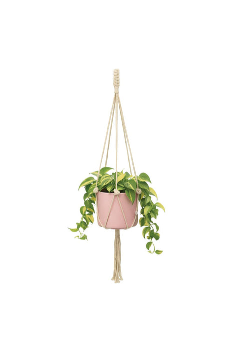 Plant Hanger Macrame
