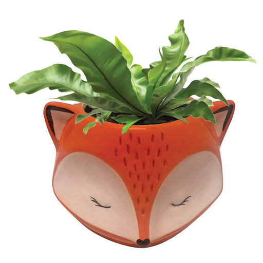 Fox Planter