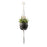 Seed & Sprout Let's Hang Macrame Plant Hanger