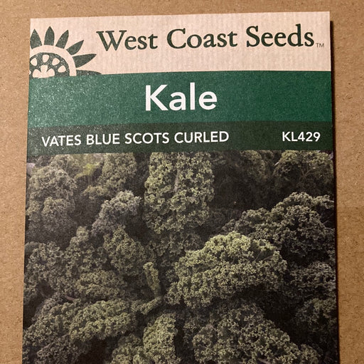 Seed WC Kale Vates Blue Scots Curled