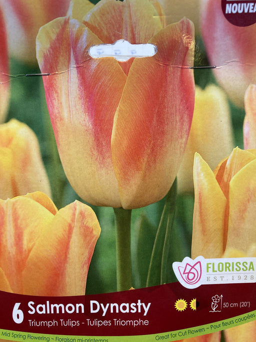 Tulip-salmon Dynasty)