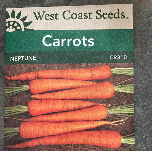 Seed WC Carrots Neptune