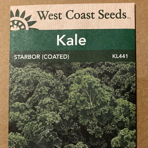 Seed WC Kale Starbor (coated)