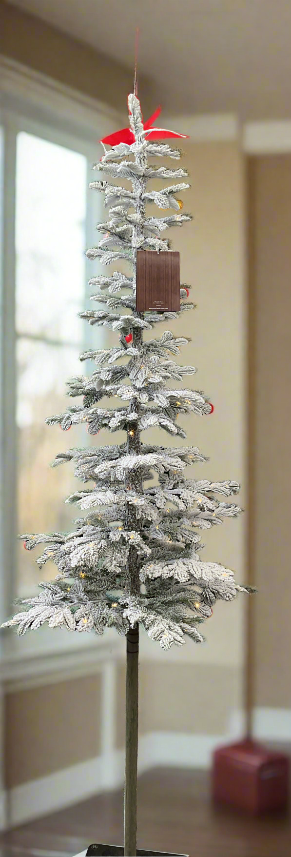 Tree 7' Snowy Alpine Fir 200L — Dutch Growers Regina