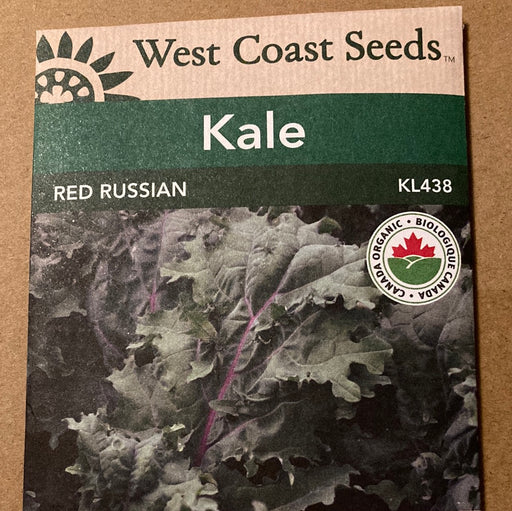 Seed WC Kale Red Russian KL438