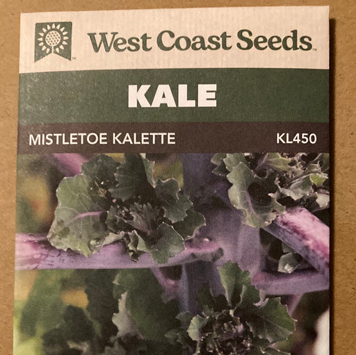 Seed WC Kale Mistletoe Kalette