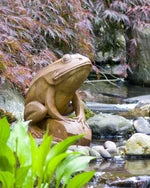 Statuary Barry Frog