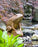 Statuary Barry Frog