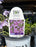 Phlox PW Rose Sprite 17 cm
