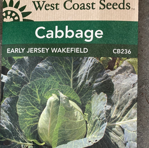 Seed WC Cabbage Early Jersey Wakefield