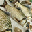 "Carp Diem" Fish Pencil Case