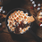 S'mores Refill