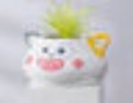 Pot Animal Colourful
