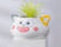 Pot Animal Colourful