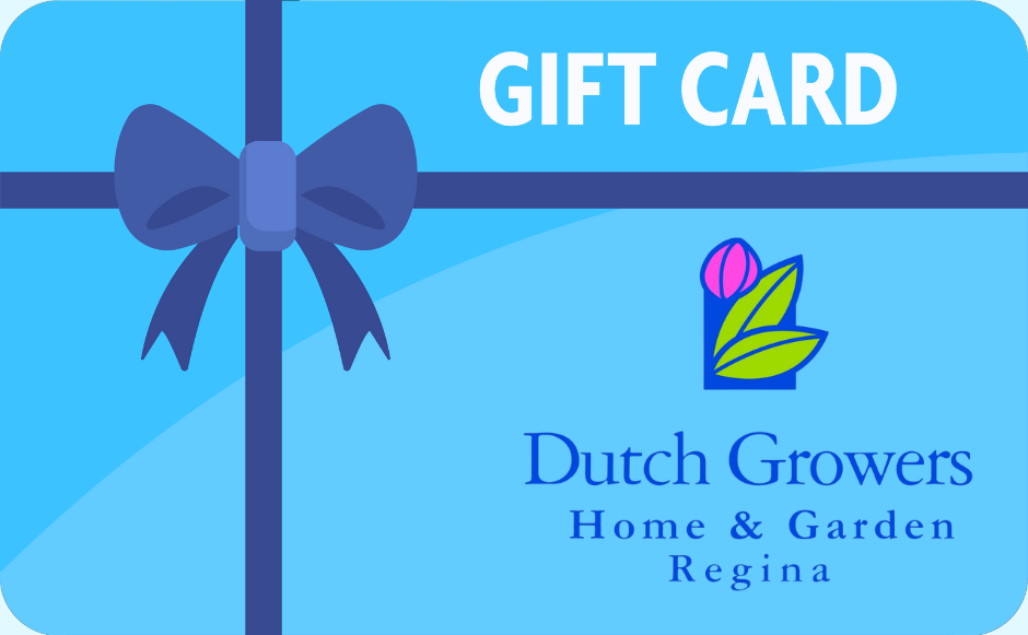 Gift Card (Virtual)