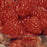 Souris Raspberry #1
