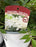 Astilbe fireworks White #1