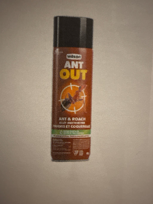 Ant Out Ant & Roach killer 425 gm