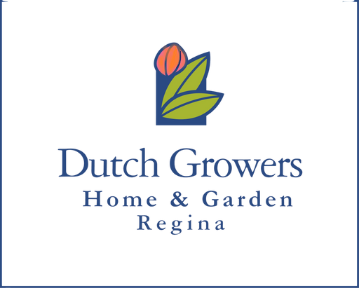 Tulip Double Early Aveyron pkg.6