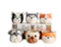 Pots Dog Family 2.75"