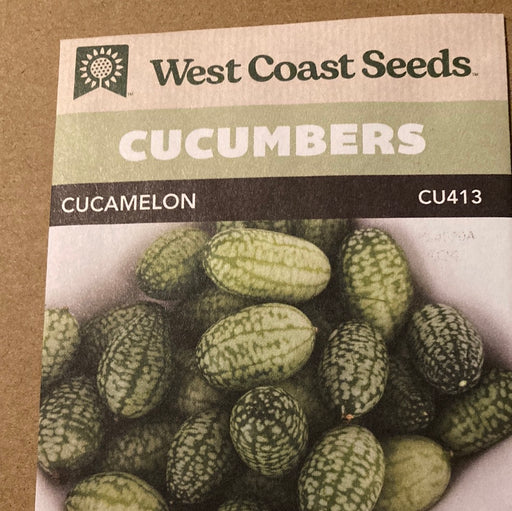 Seed WC Cucumber Cucamelon