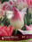 Tulip-Tender whisper
