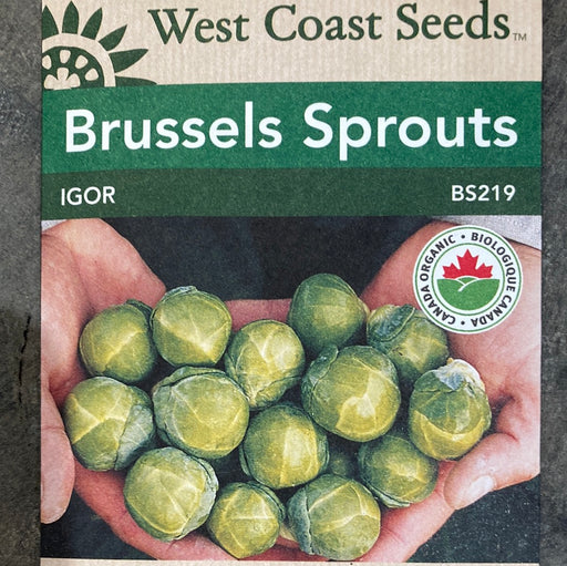 Seed WC Brussels Sprouts Igor