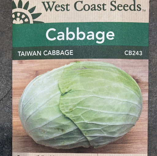 Seed WC Cabbage Taiwan