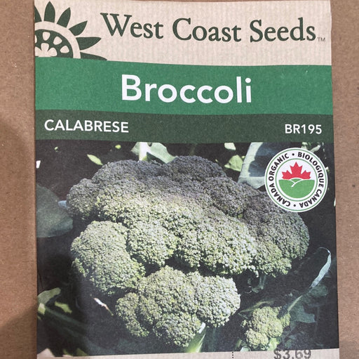 Seed WC Broccoli Calabrese