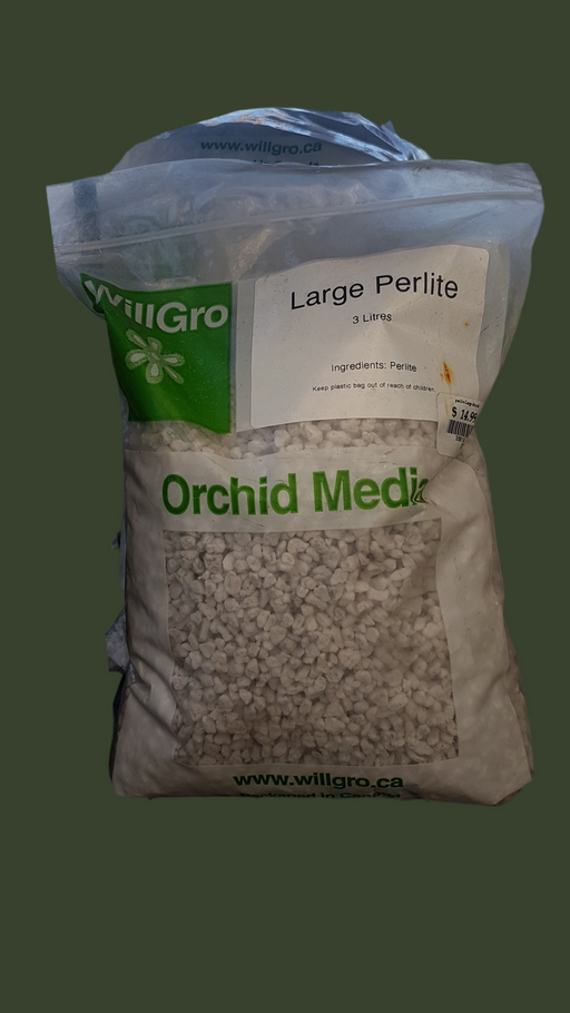 Perlite Large Chunk