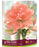 Amaryllis Double Tika Coral 28+ 1pk