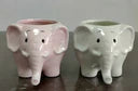 Pot Animal Colourful