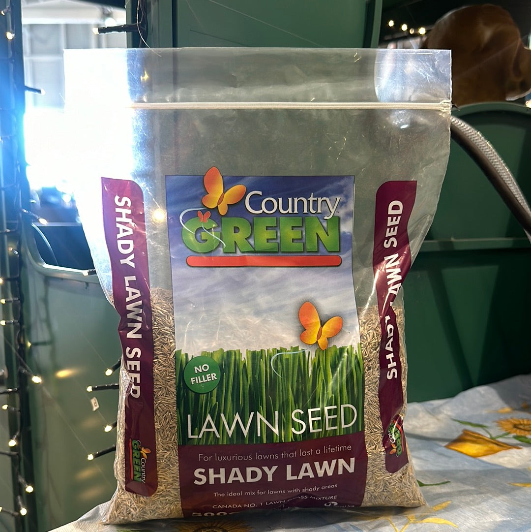 Grass Seed - Shady 500 g — Dutch Growers Regina