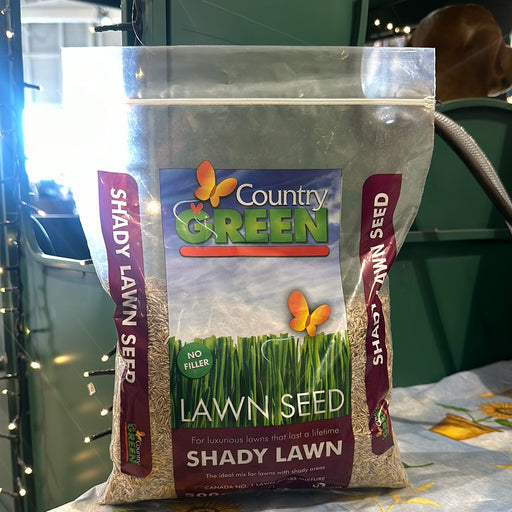 Grass Seed - Shady 500 g