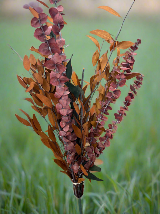 Autumn scented bundle