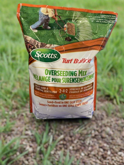 Grass Seed Over Seeding Mix TB 2 kg