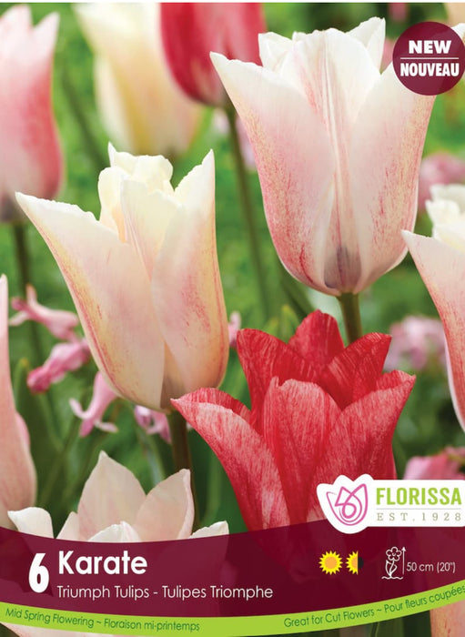 Tulip Triumph karate