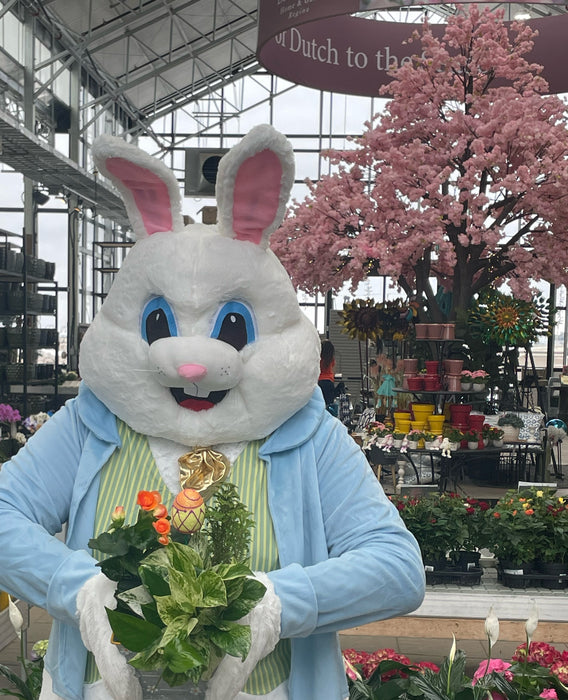 Make & Take Easter Planter
