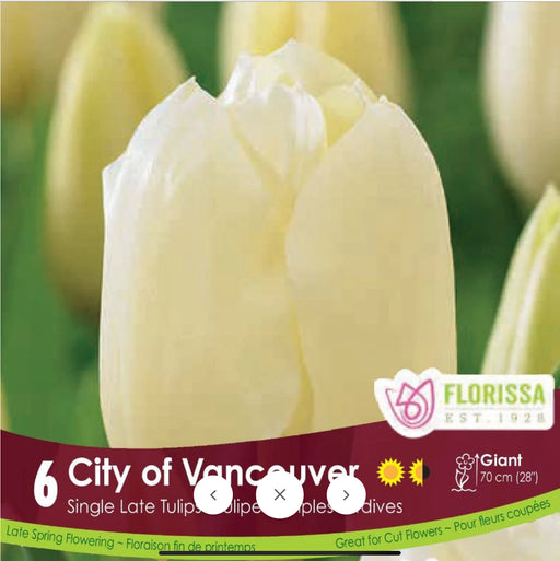 Tulip City Of Vancouver