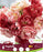 Tulip Double Peptalk