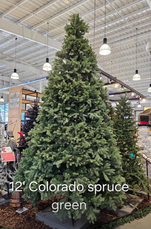 Tree 12' Col Spruce LED Green