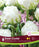 Tulip Fringed Snow Crystal