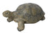 Tortoise 31"