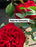 Rose Hardy Hope for Humanity #2