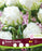 Tulip Fringed Snow Crystal