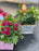 Make & Take Easter Planter
