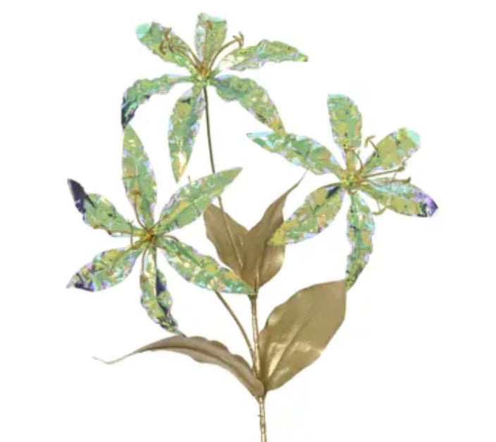 Spray Flower Iris Colour