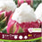 Tulip Ice Cream